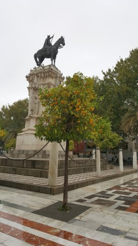 s112 plaza nueva